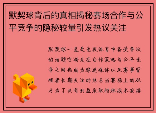 默契球背后的真相揭秘赛场合作与公平竞争的隐秘较量引发热议关注